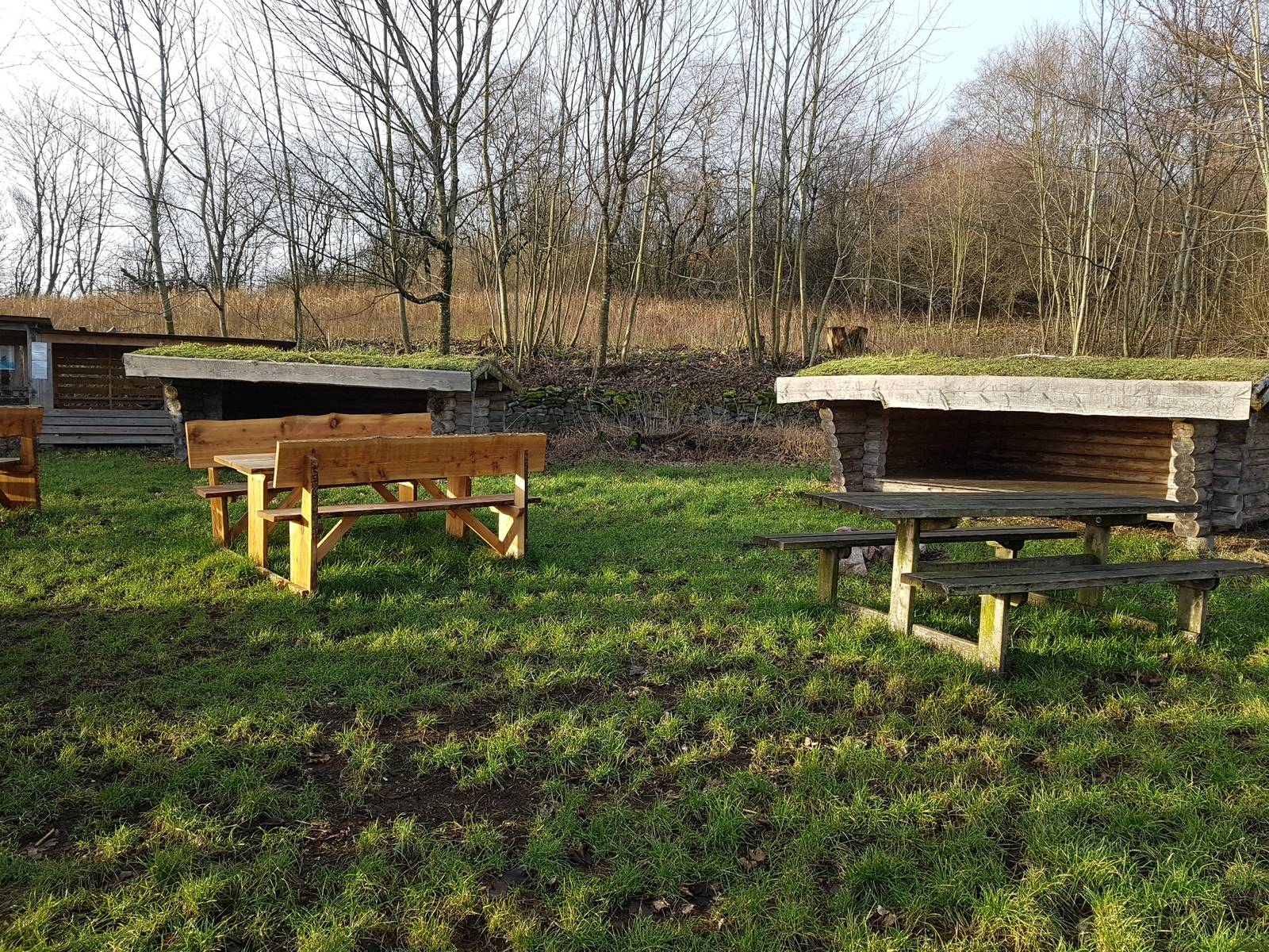 Billede af shelter Mosely, Shelterplads