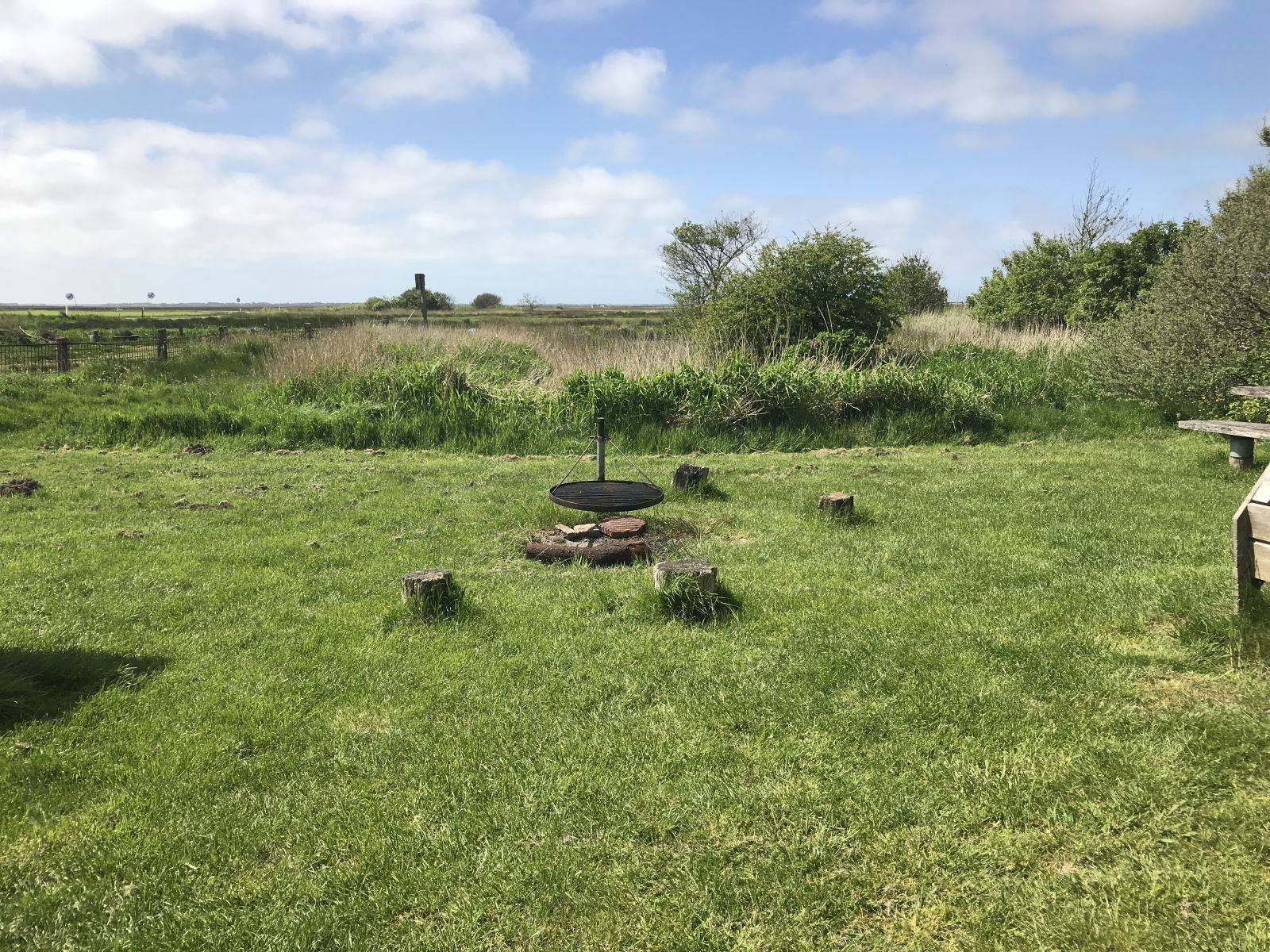 Billede af shelter Shelter 2 Bork Vikingehavn – billede 2