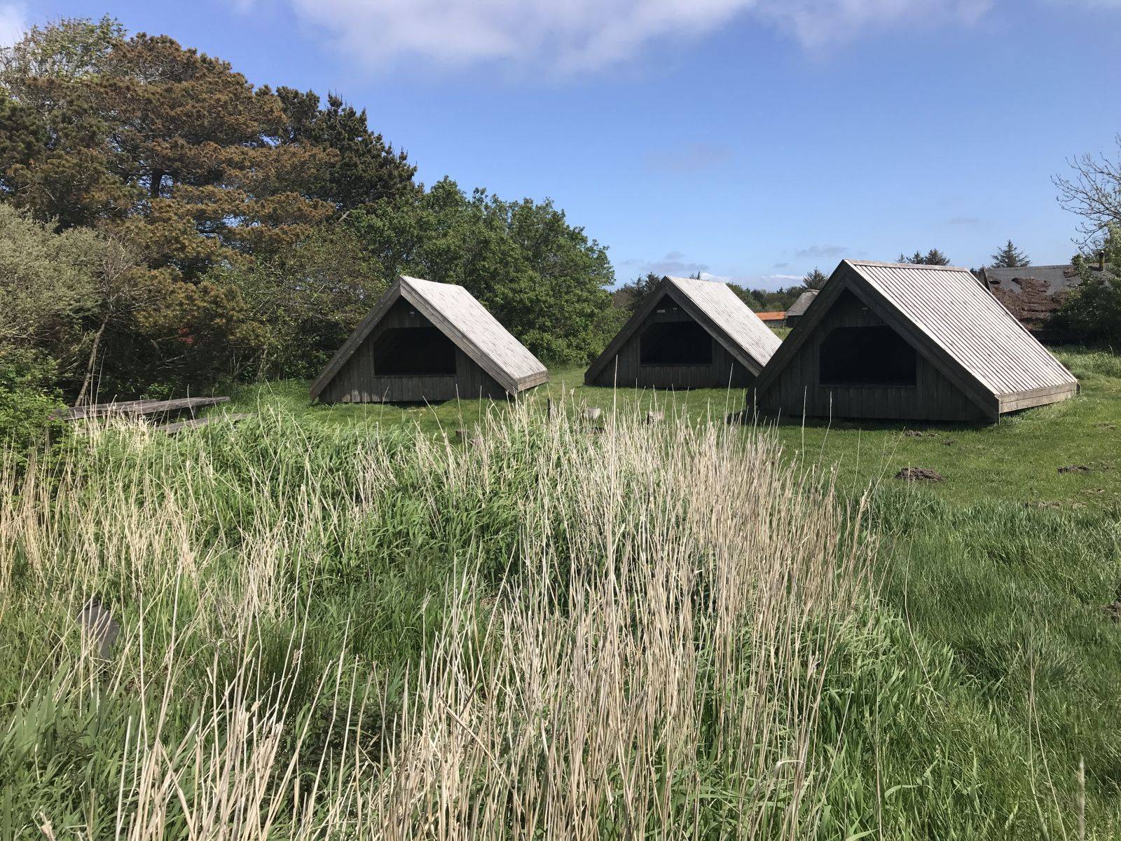 Billede af shelter Shelter 2 Bork Vikingehavn – billede 3