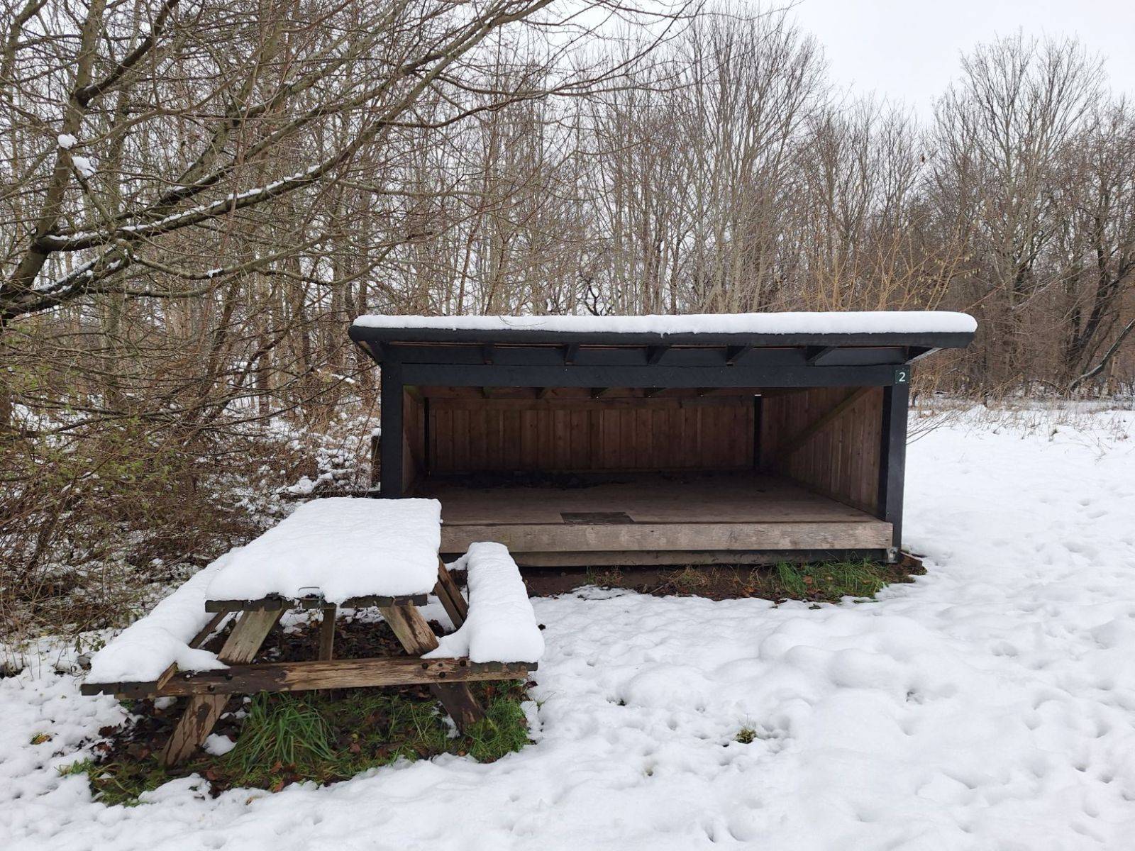 Billede af shelter Lejrplads Randers Nørreskov - shelter nr. 2 (ikke bookbar) – billede 2