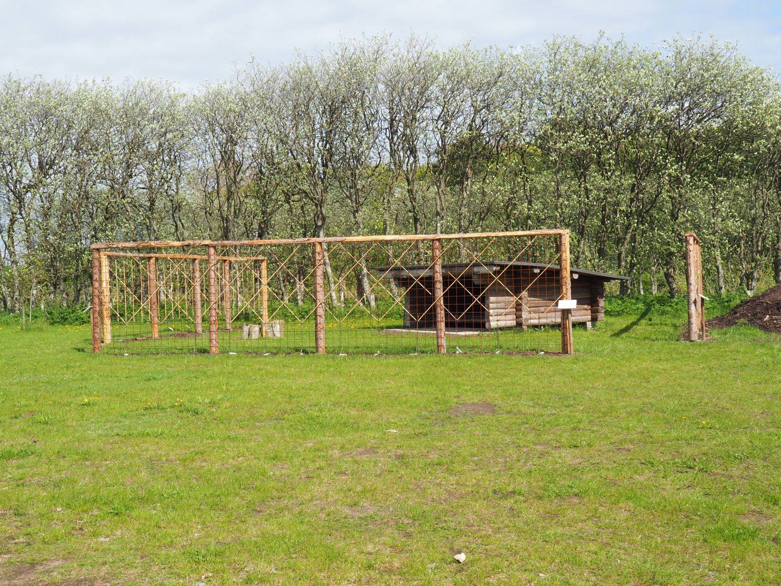 Billede af shelter Shelter i pometet Rødding, Skive – billede 6