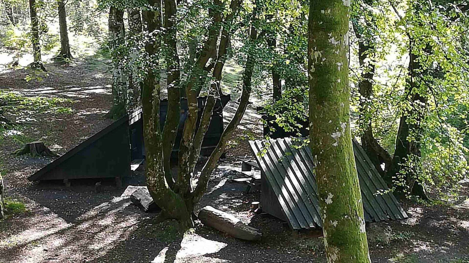 Billede af shelter Rold Skov, Shelterplads ved Mosskovpavillonen - skal ikke bookes