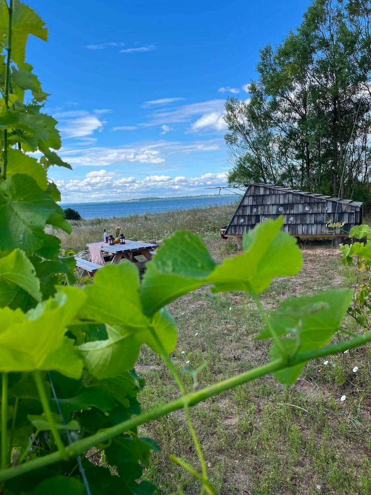 Billede af shelter To 2-mands shelter ved Bjørnø Vingård – billede 17