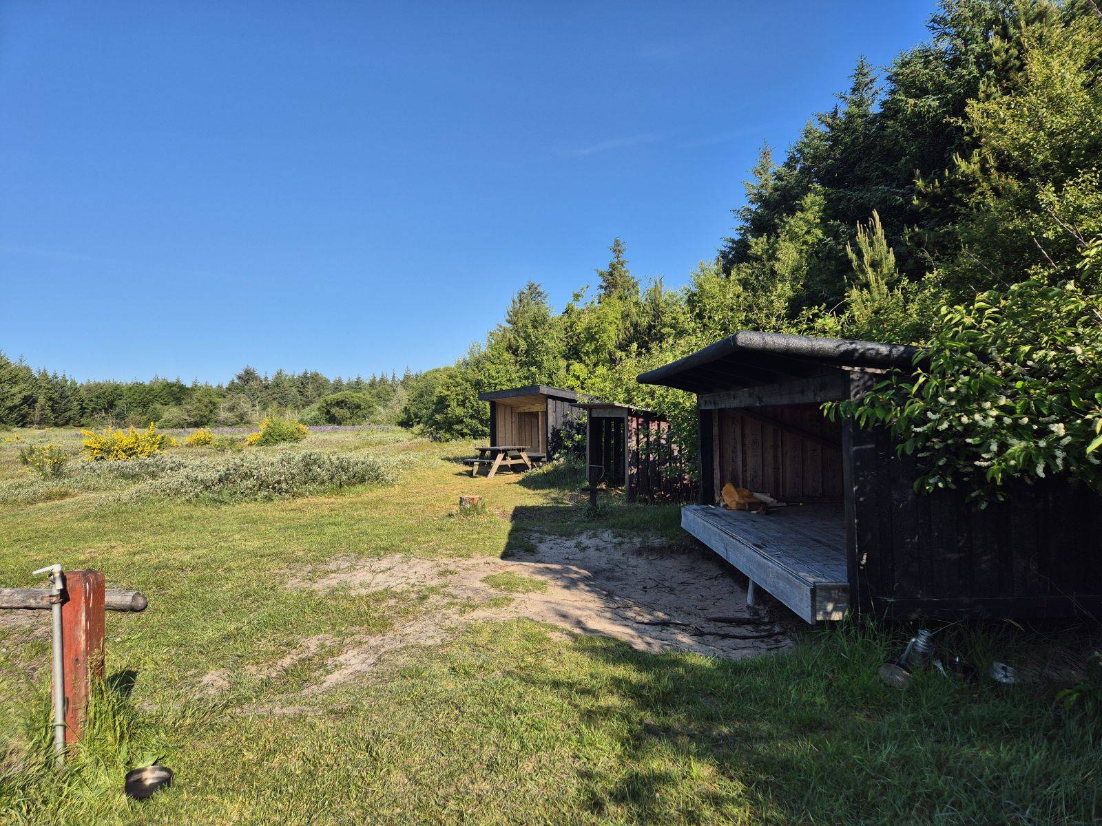 Billede af shelter Tornby Klitplantage - primitiv shelterplads