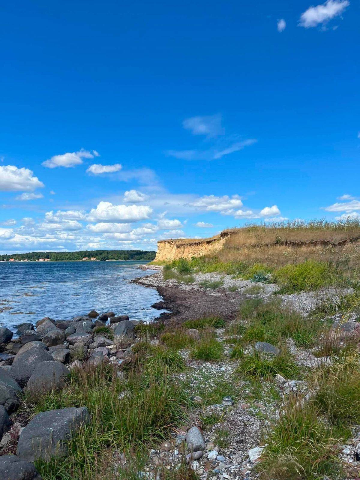 Billede af shelter To 2-mands shelter ved Bjørnø Vingård – billede 9