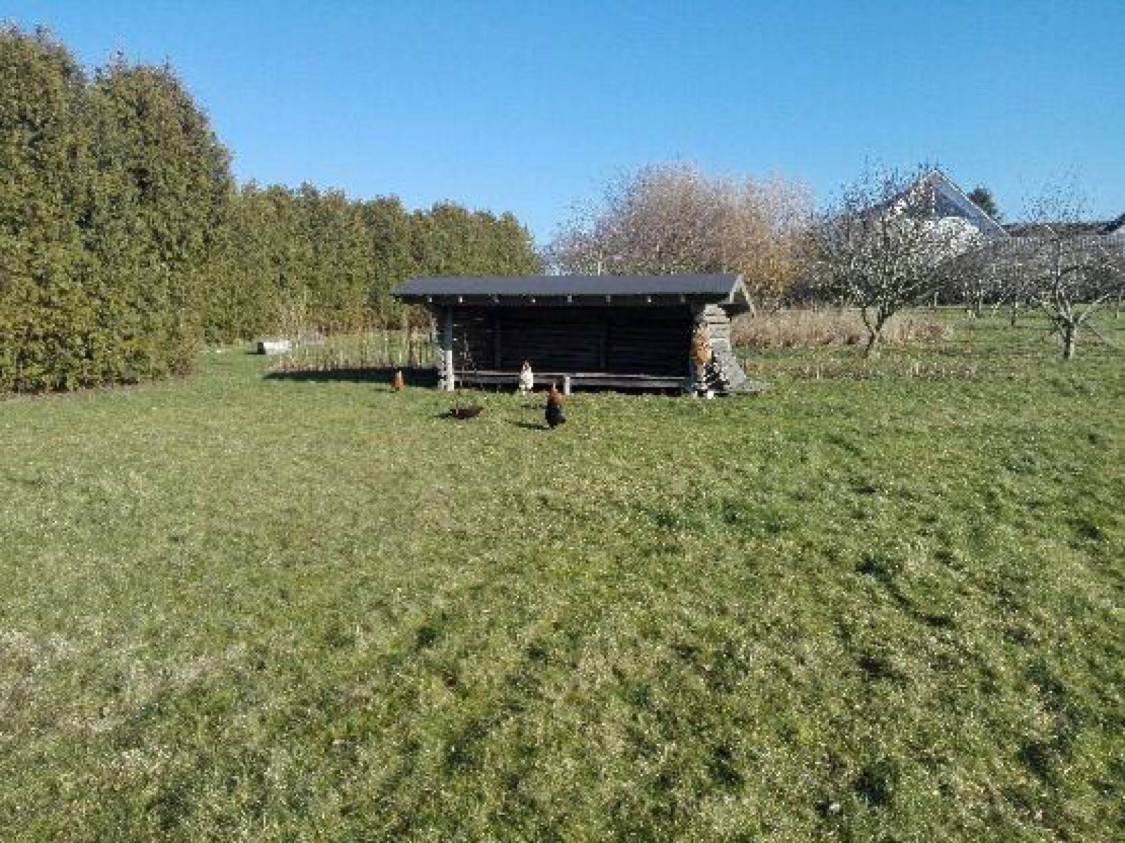 Billede af shelter Økologisk Dark Sky-certificeret landbrug – billede 2