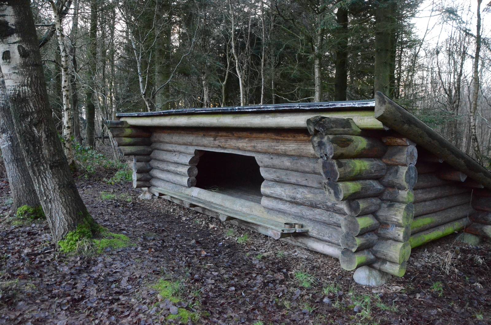 Billede af shelter Thyholm, Plethøj Plantage