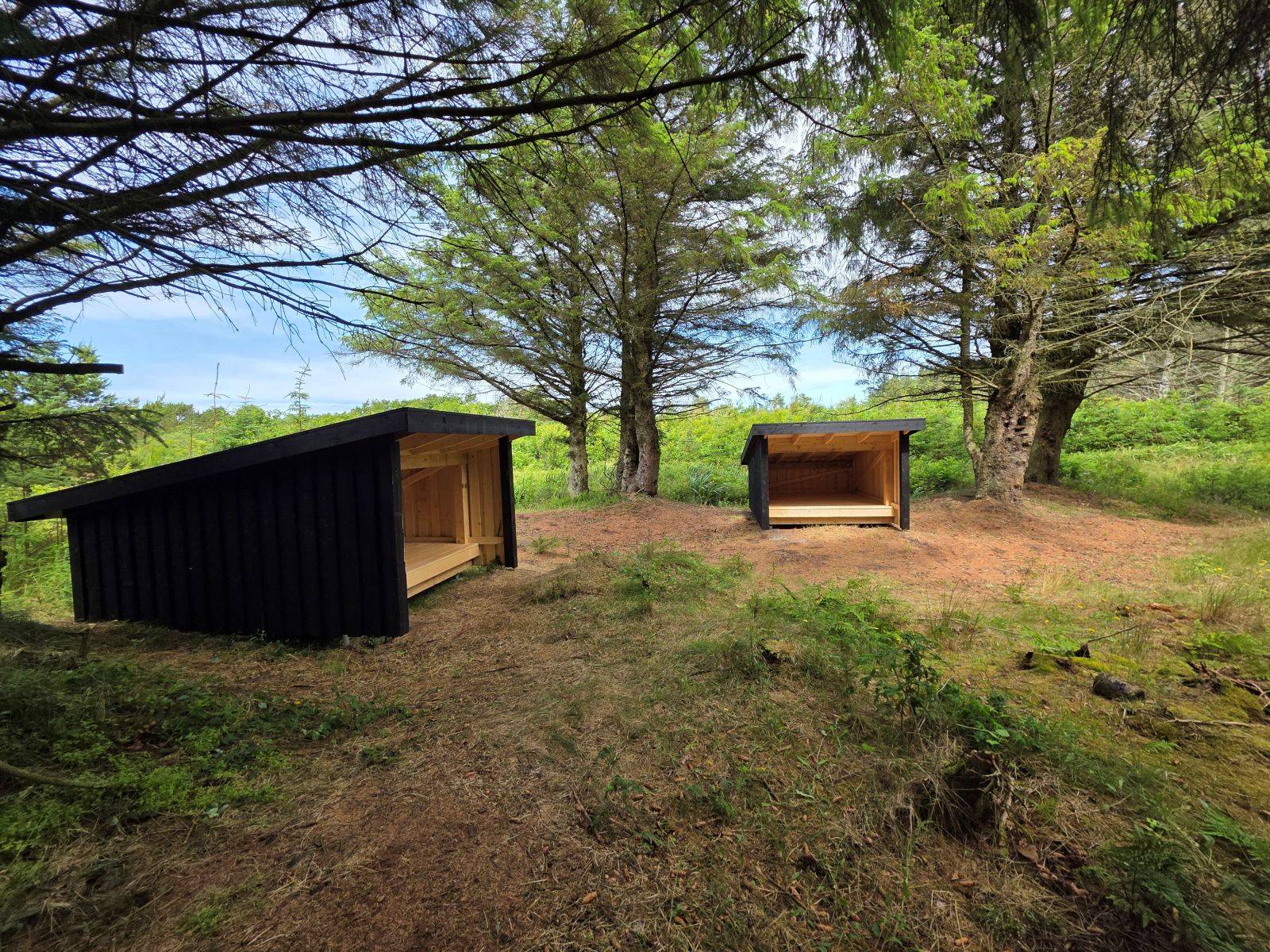 Billede af shelter Nybæk Plantage - overnatningsplads med sheltere