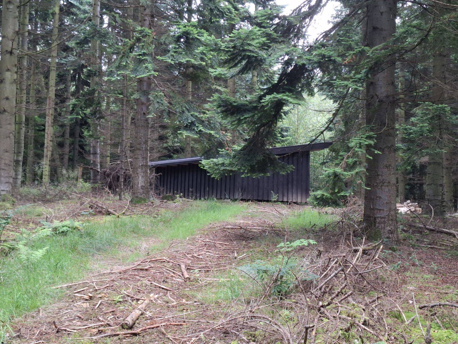 Billede af shelter Fovslet Skov Shelter 2 – billede 2