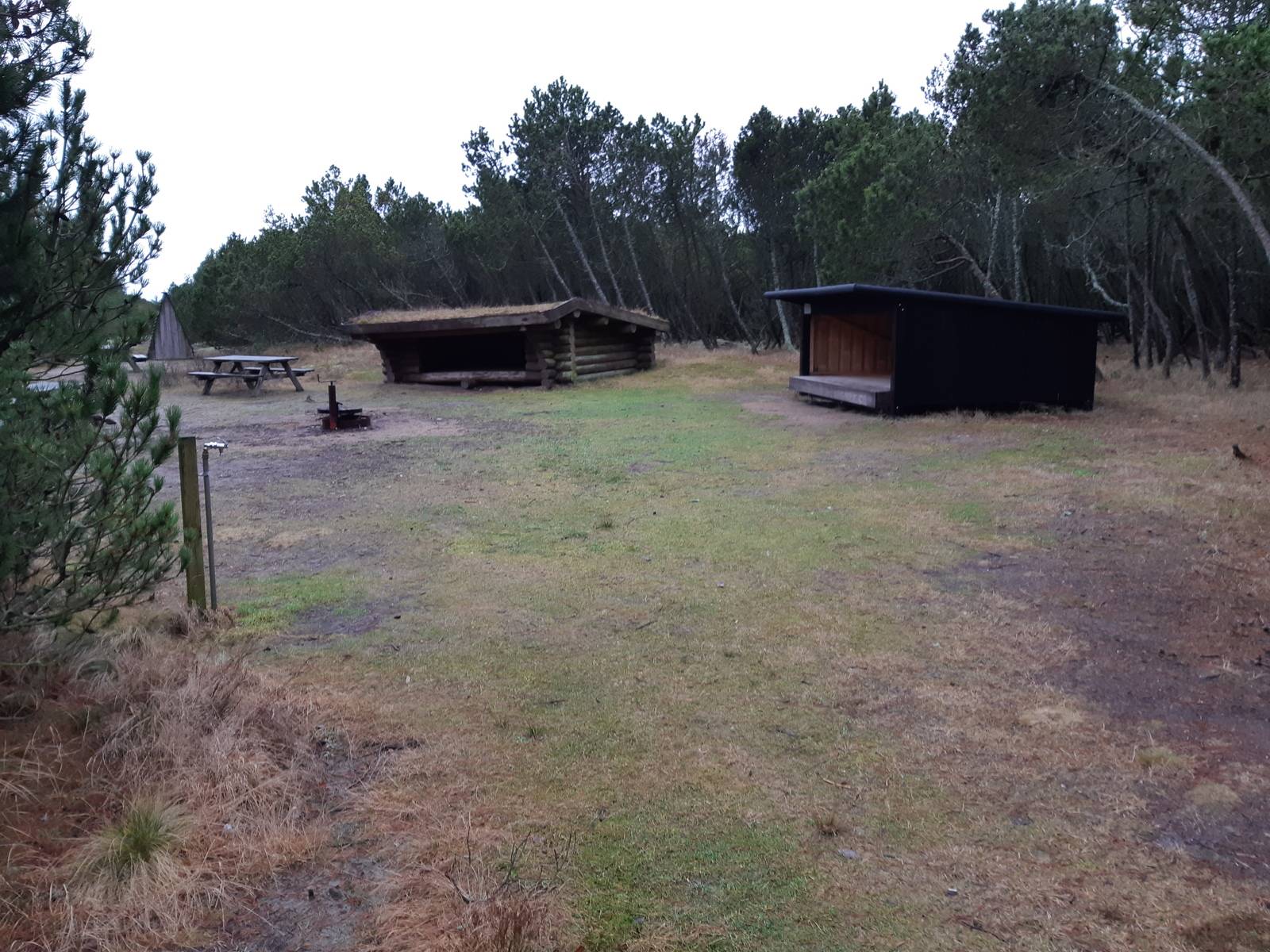 Billede af shelter Bunken Klitplantage - primitiv overnatningsplads med 2 sheltere
