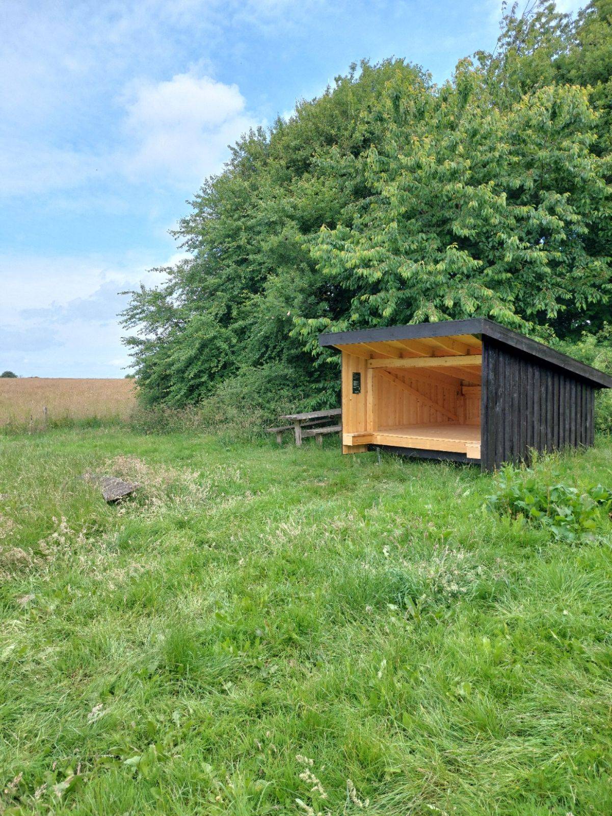 Billede af shelter Arnkil Skov - Mini Shelter "Blisgåsen"