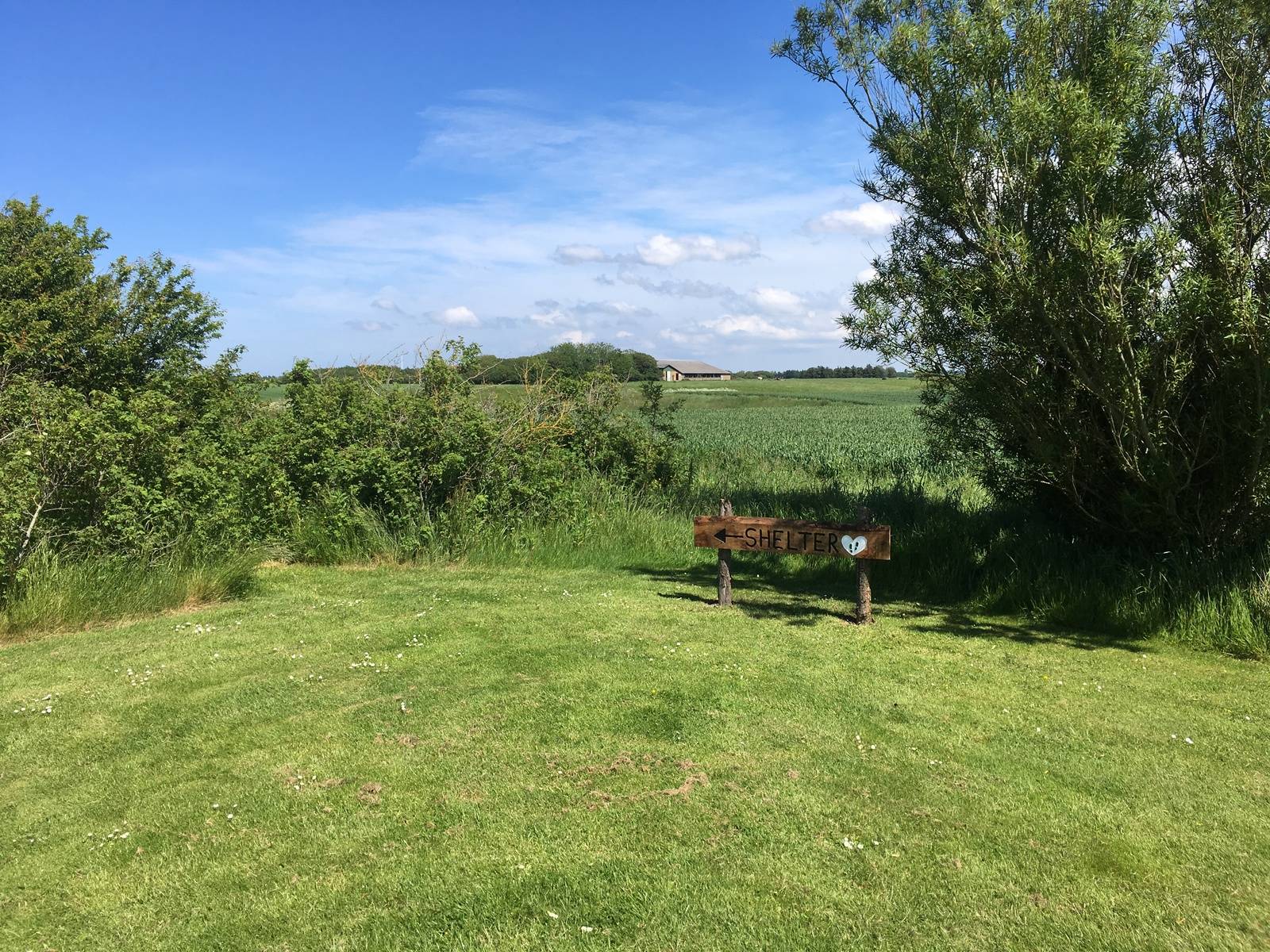 Billede af shelter Shelter ved Bakholm – billede 5