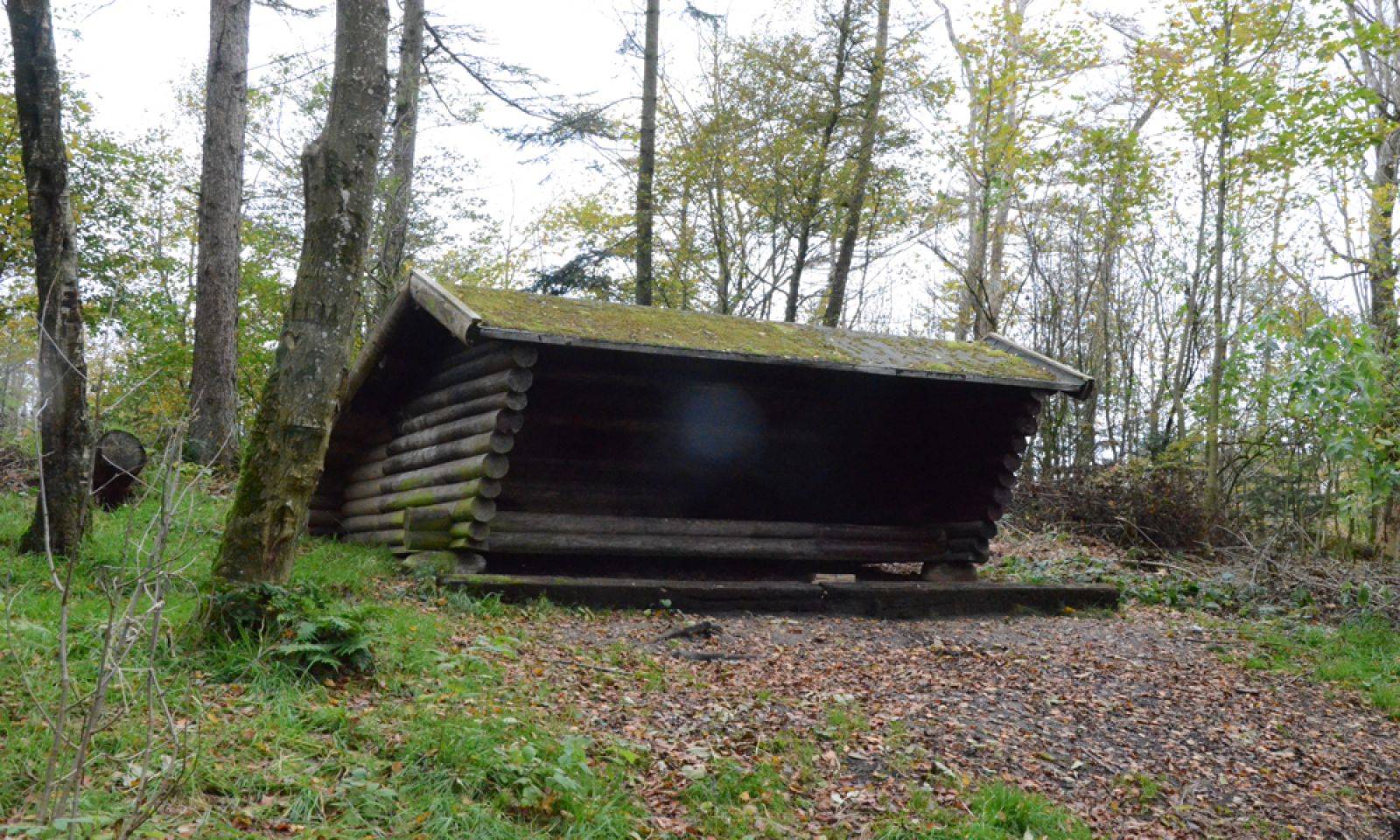 Billede af shelter Resenborg Plantage, Resenborg