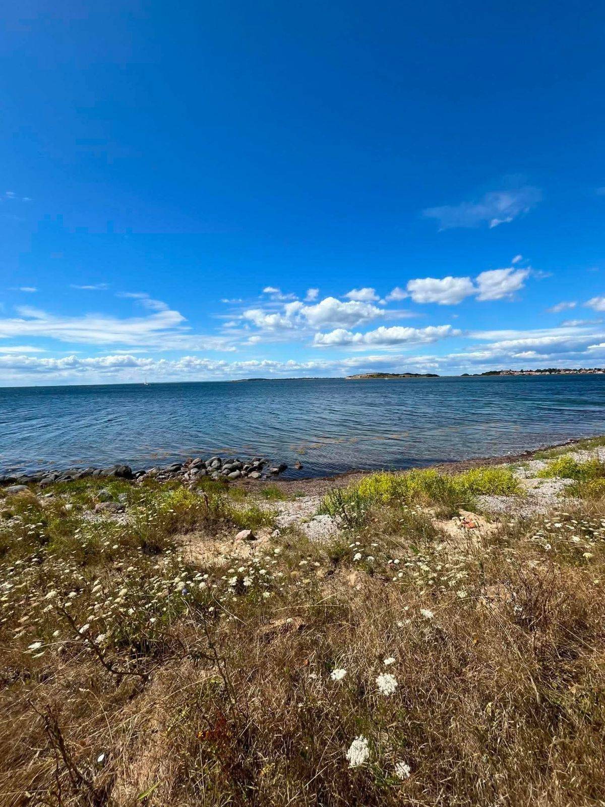 Billede af shelter To 2-mands shelter ved Bjørnø Vingård – billede 6