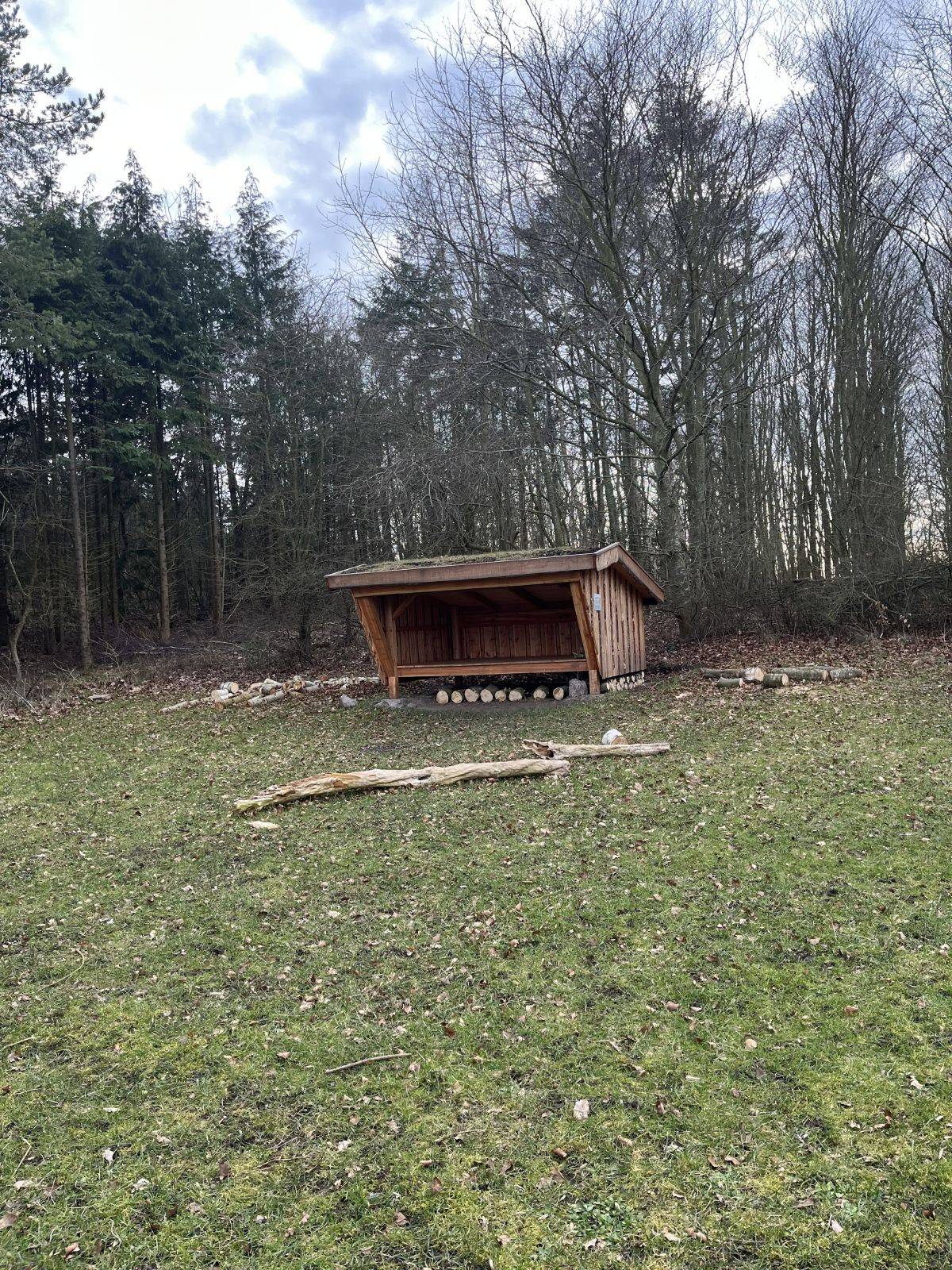 Billede af shelter Lille Rise skoven