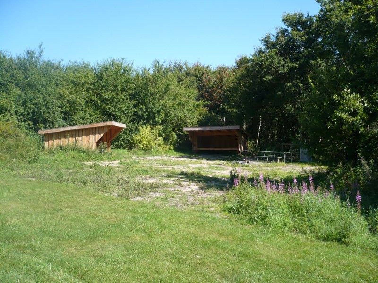 Billede af shelter Naturbasen Louns, Shelterplads – billede 2