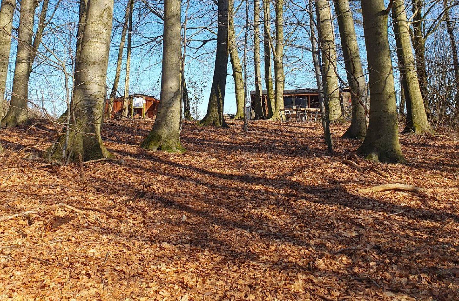 Billede af shelter Shelterplads med tre sheltere - FDF Tommerup St. – billede 2