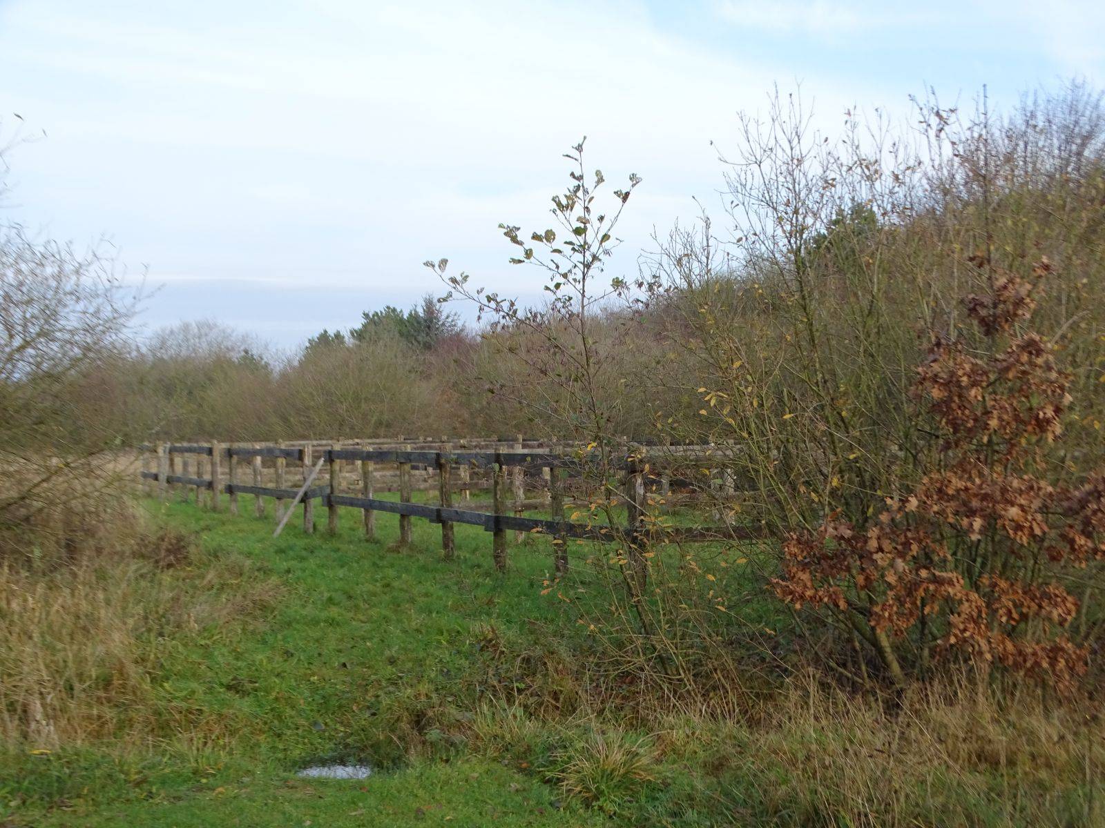 Billede af shelter Trædestenen Nebel Bjerg, shelter 1 – billede 2