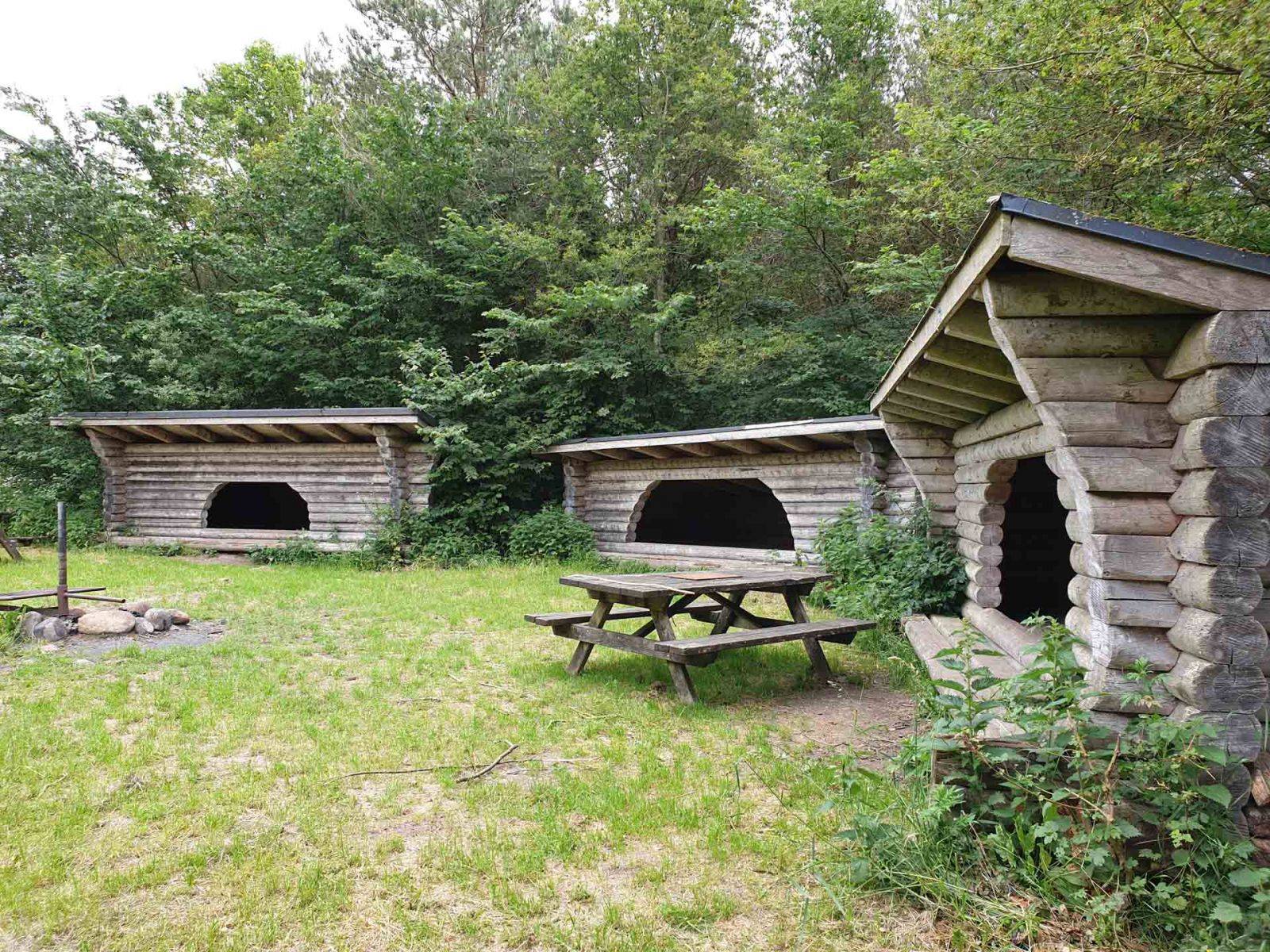 Billede af shelter Havbjerg Skov, shelterplads