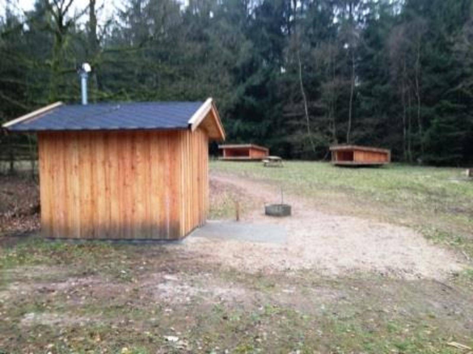 Billede af shelter Lejrplads Stendal Plantage - Shelter nr. 1