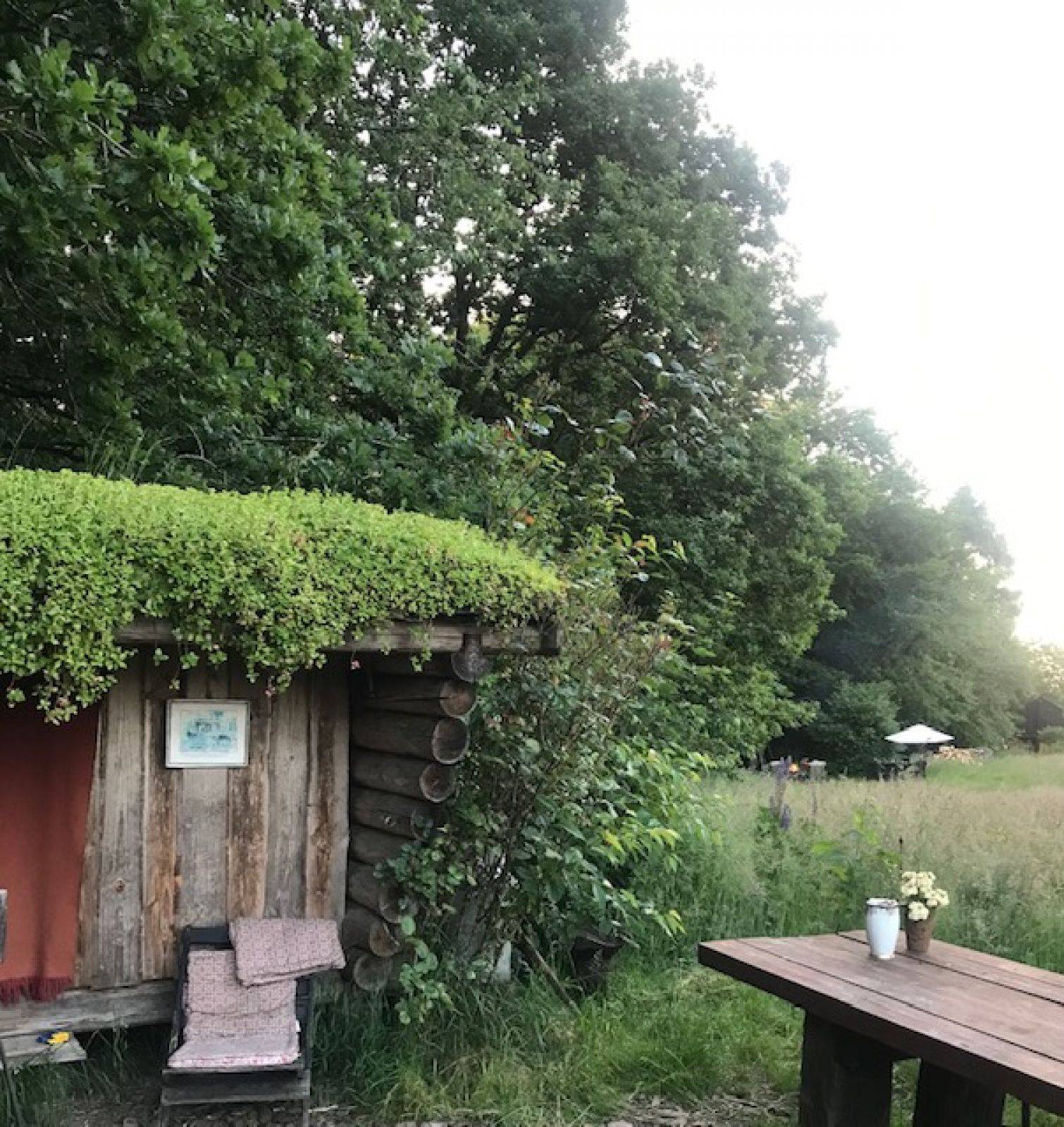 Billede af shelter Sønderås – billede 8