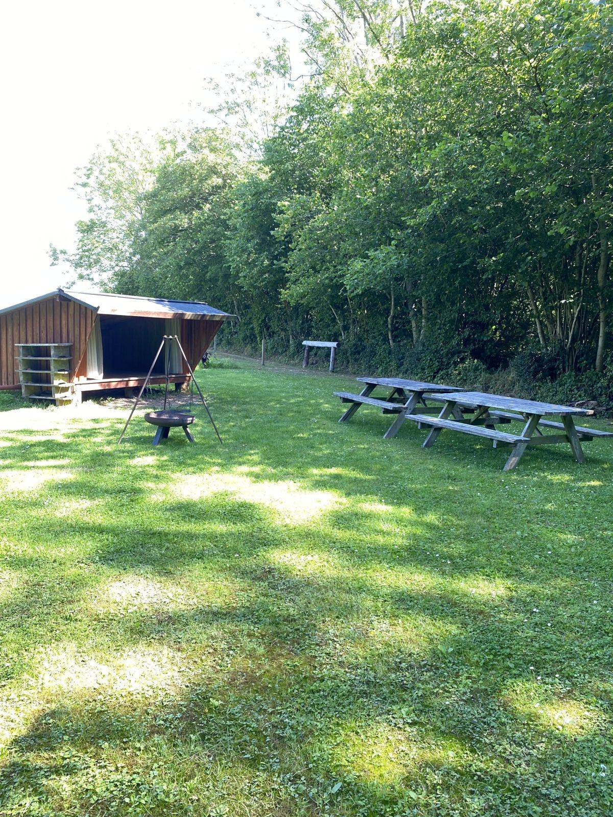 Billede af shelter Lusig Skov Shelter og teltplads