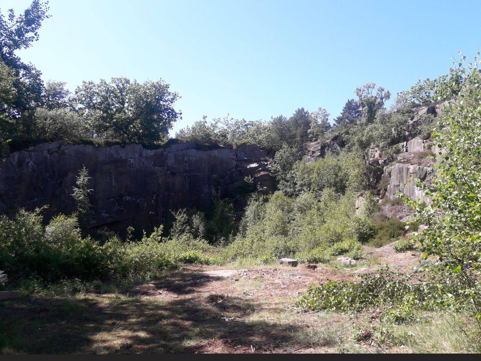Billede af shelter Shelter Ravnedalen – billede 2
