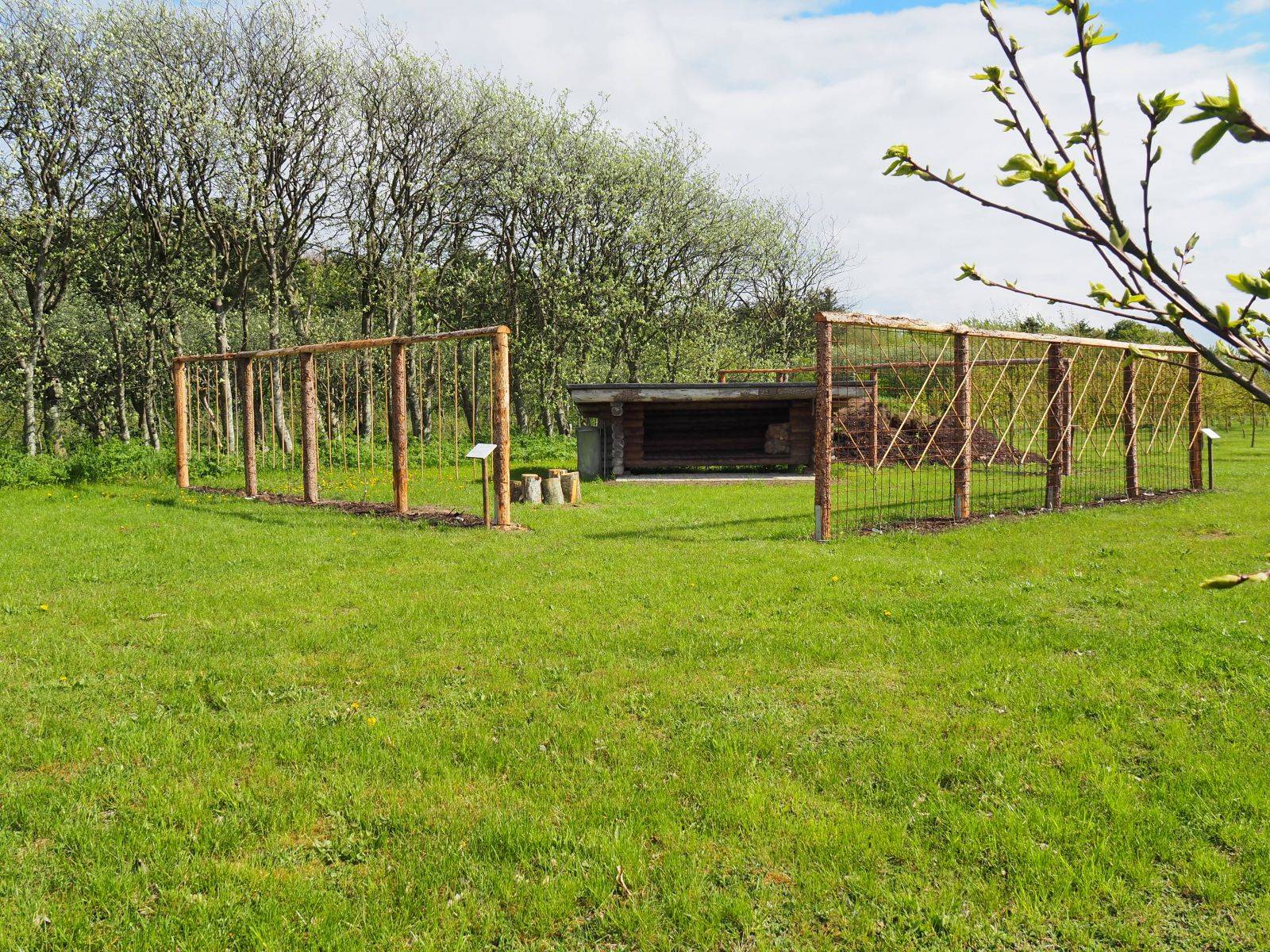 Billede af shelter Shelter i pometet Rødding, Skive – billede 4