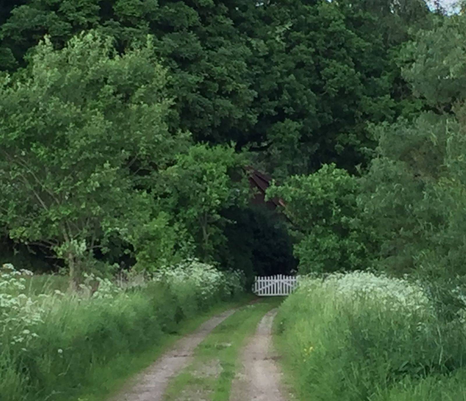 Billede af shelter Dyrekærhusets shelter – billede 2