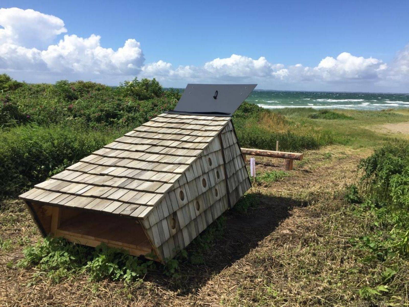 Billede af shelter Saltofte Strand