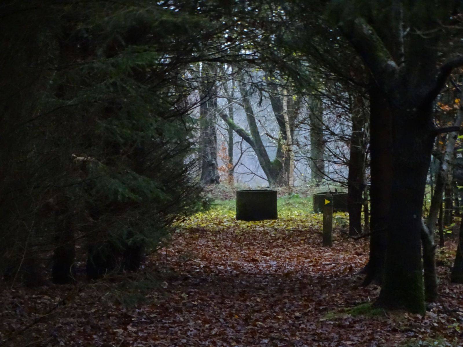 Billede af shelter Trædestenen v. Sig Kapelbanke, shelter 1 – billede 2