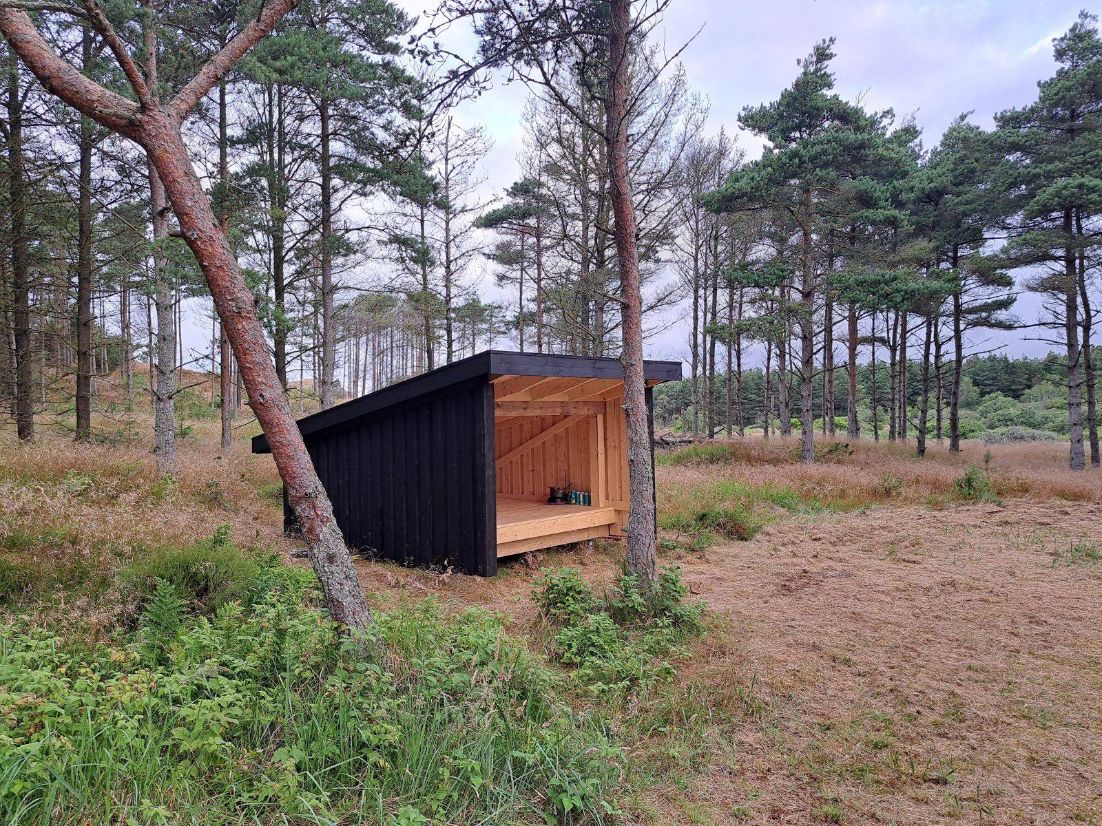 Billede af shelter Blokhus Klitplantage - overnatningsplads ved Brede Vej