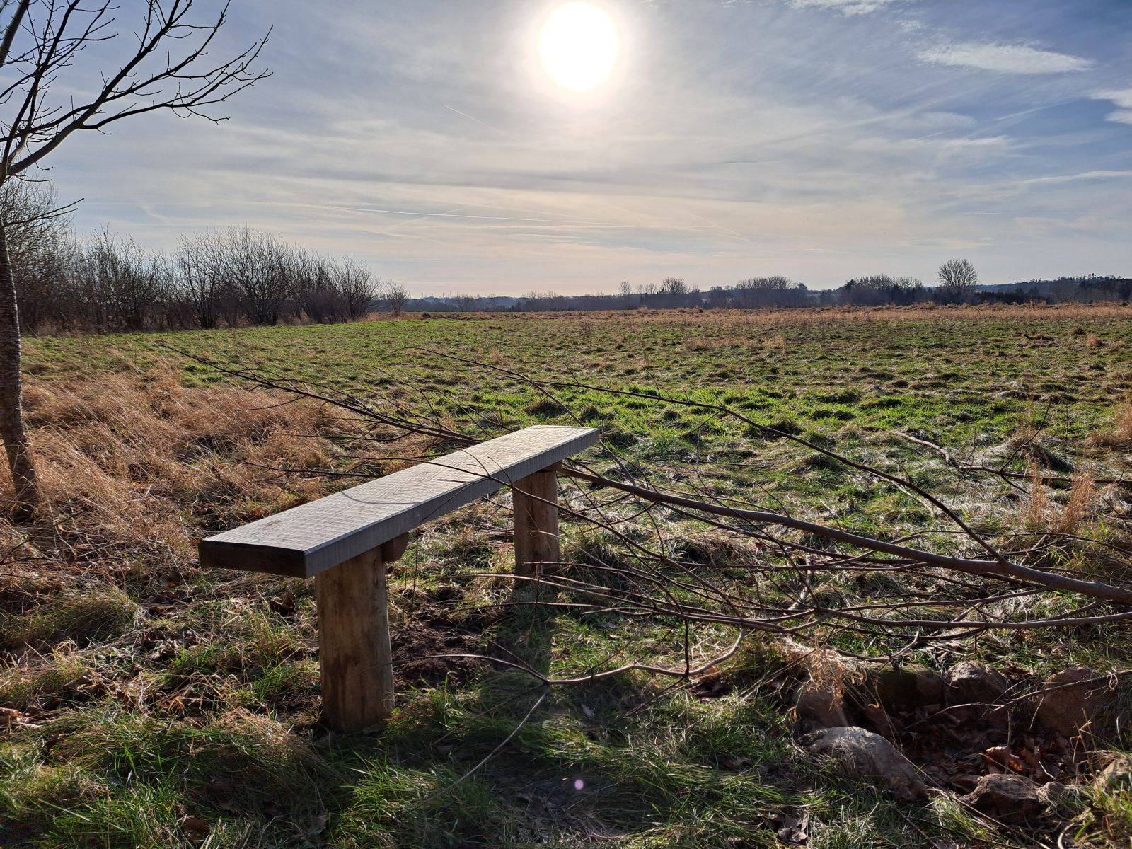 Billede af shelter Agerhønen shelter – billede 2