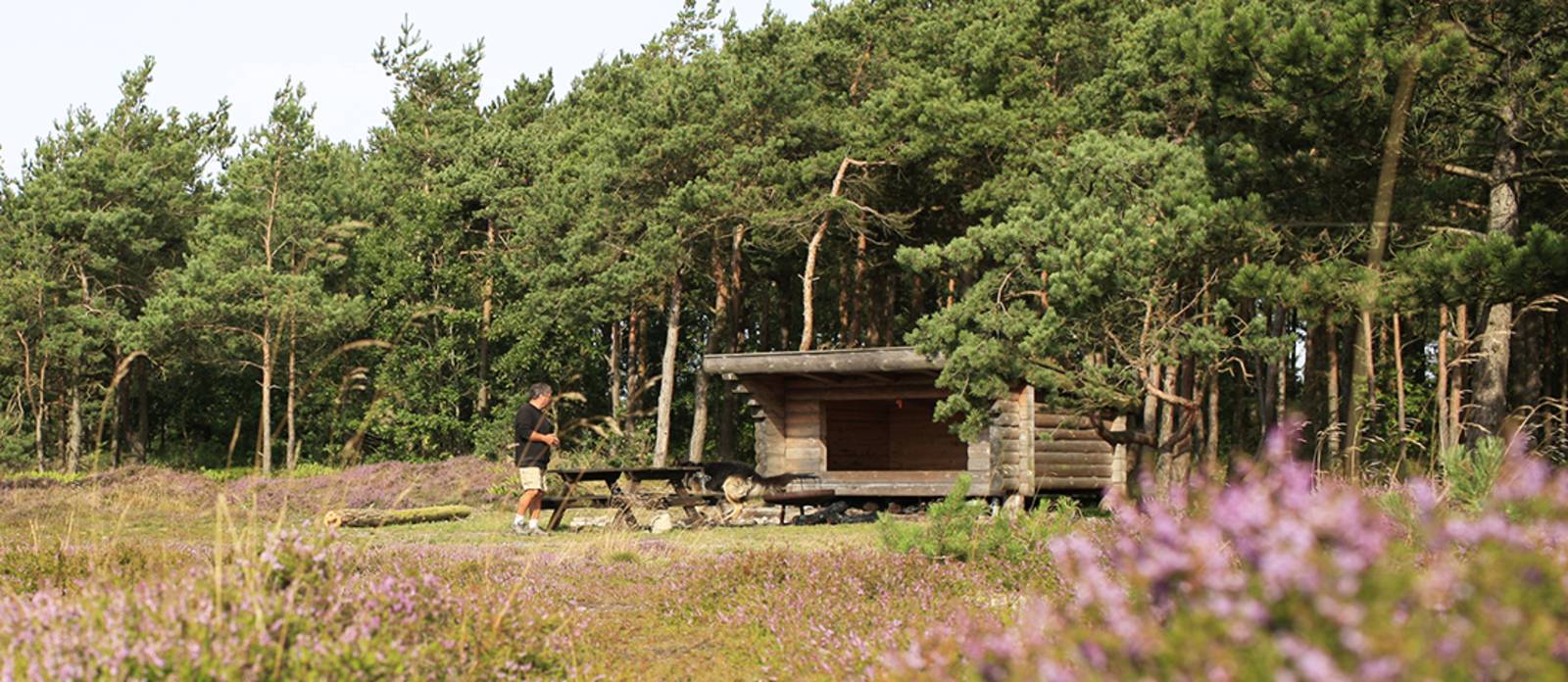 Billede af shelter Boeslum Strand
