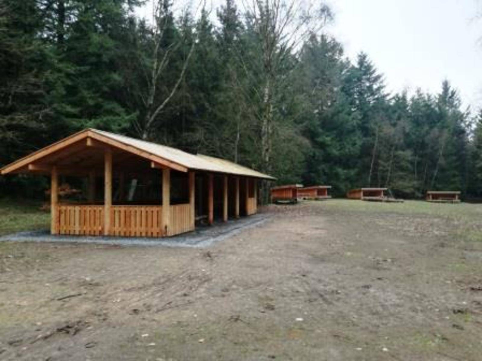 Billede af shelter Lejrplads Stendal Plantage - Shelter nr. 1 – billede 5