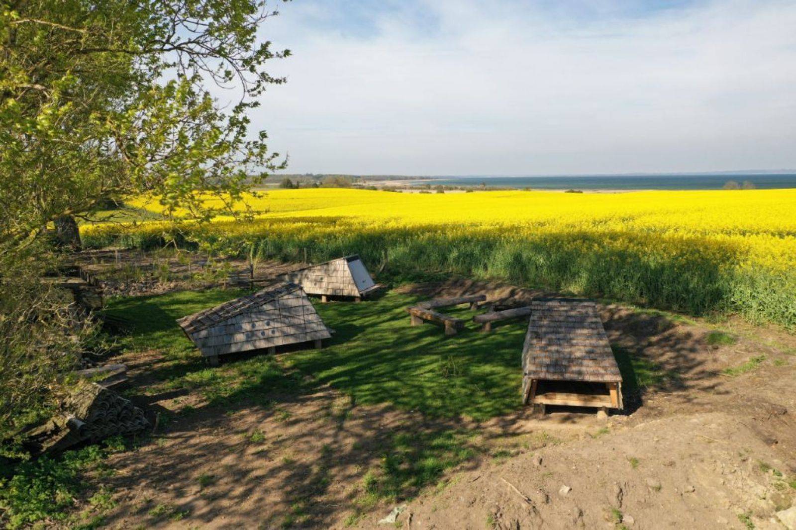 Billede af shelter Tybrindvig shelterplads
