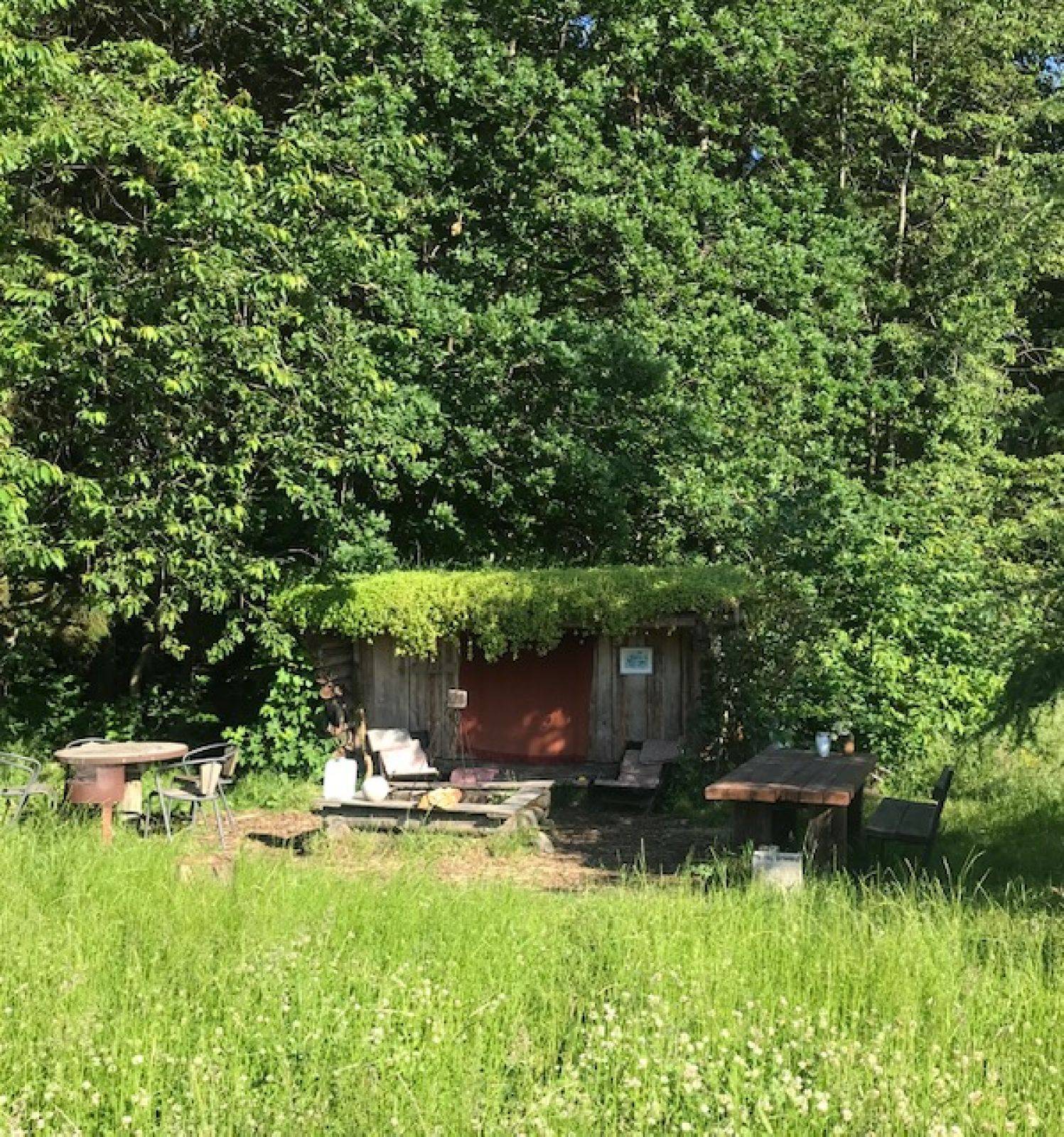Billede af shelter Sønderås – billede 12
