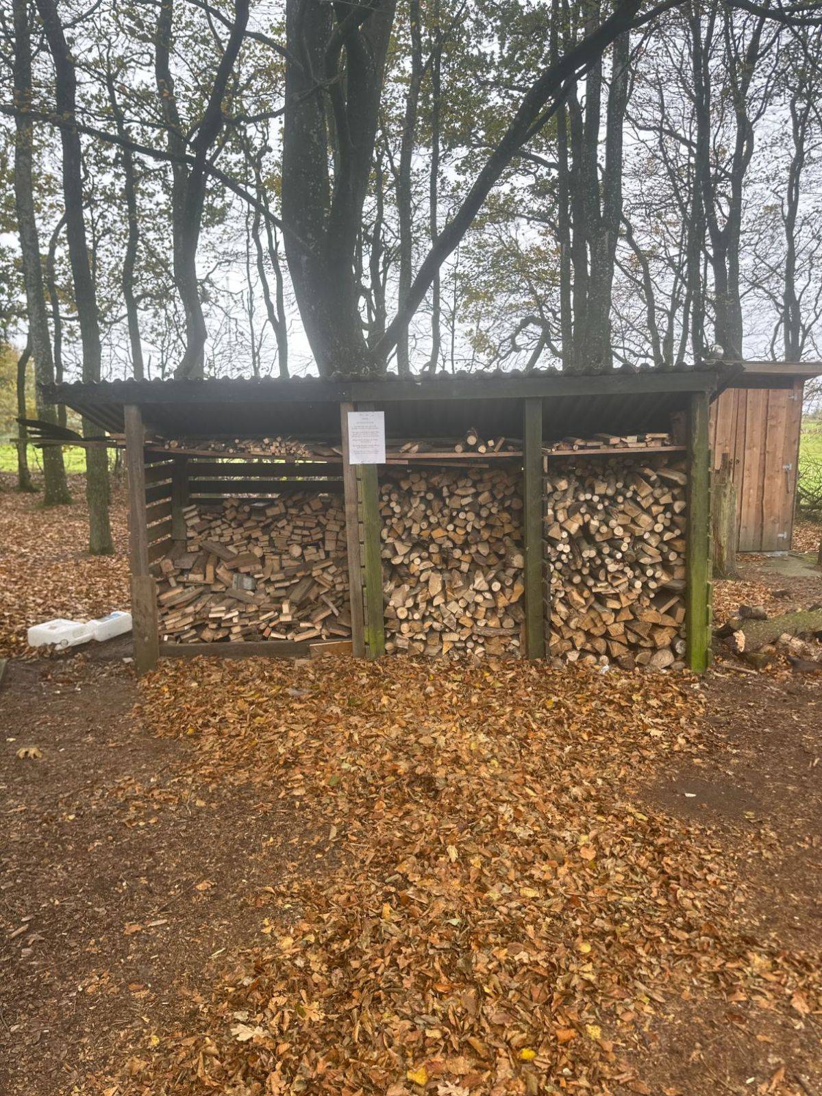 Billede af shelter Shelter – billede 3