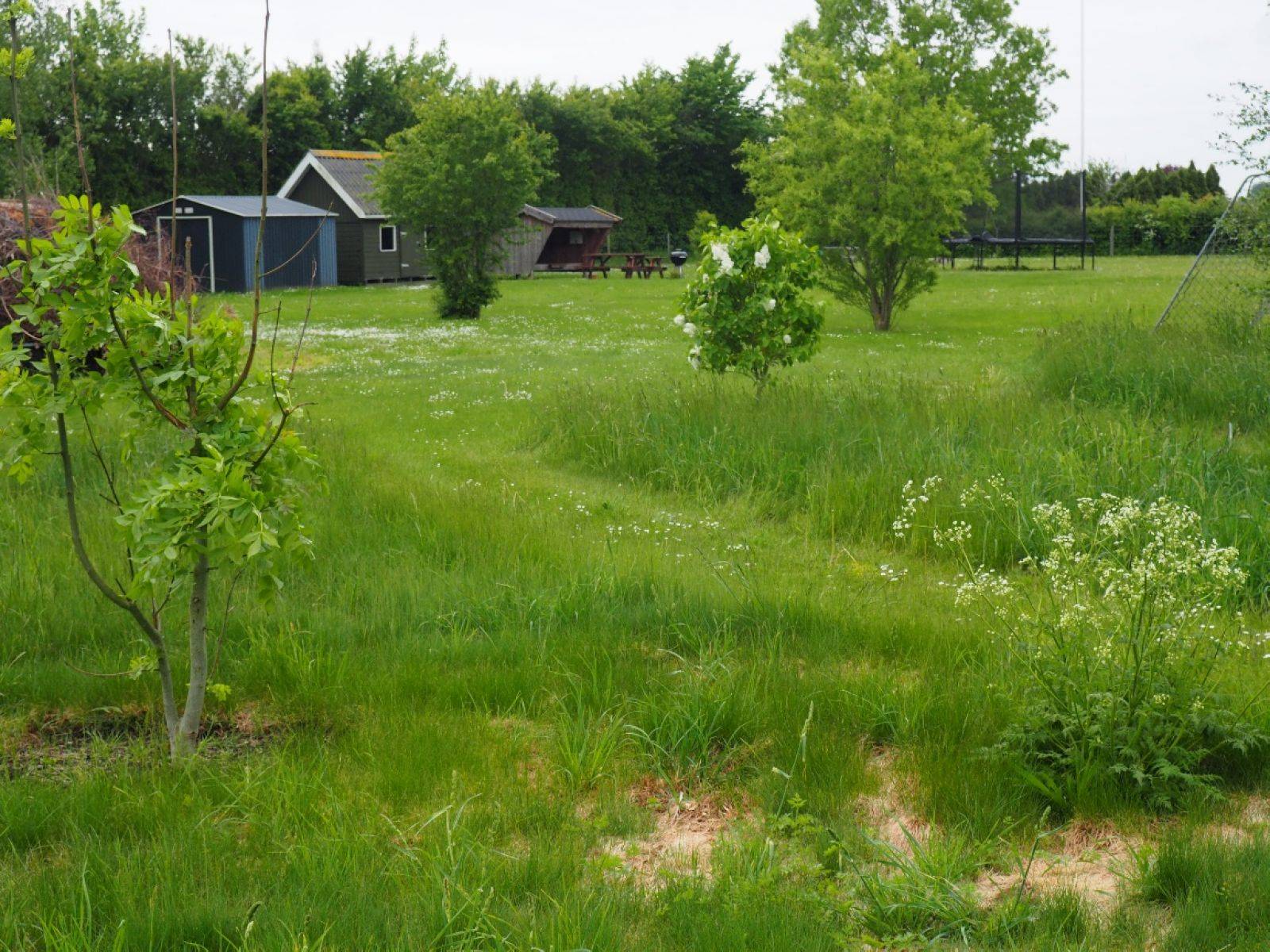Billede af shelter Hillested shelter og teltplads – billede 6