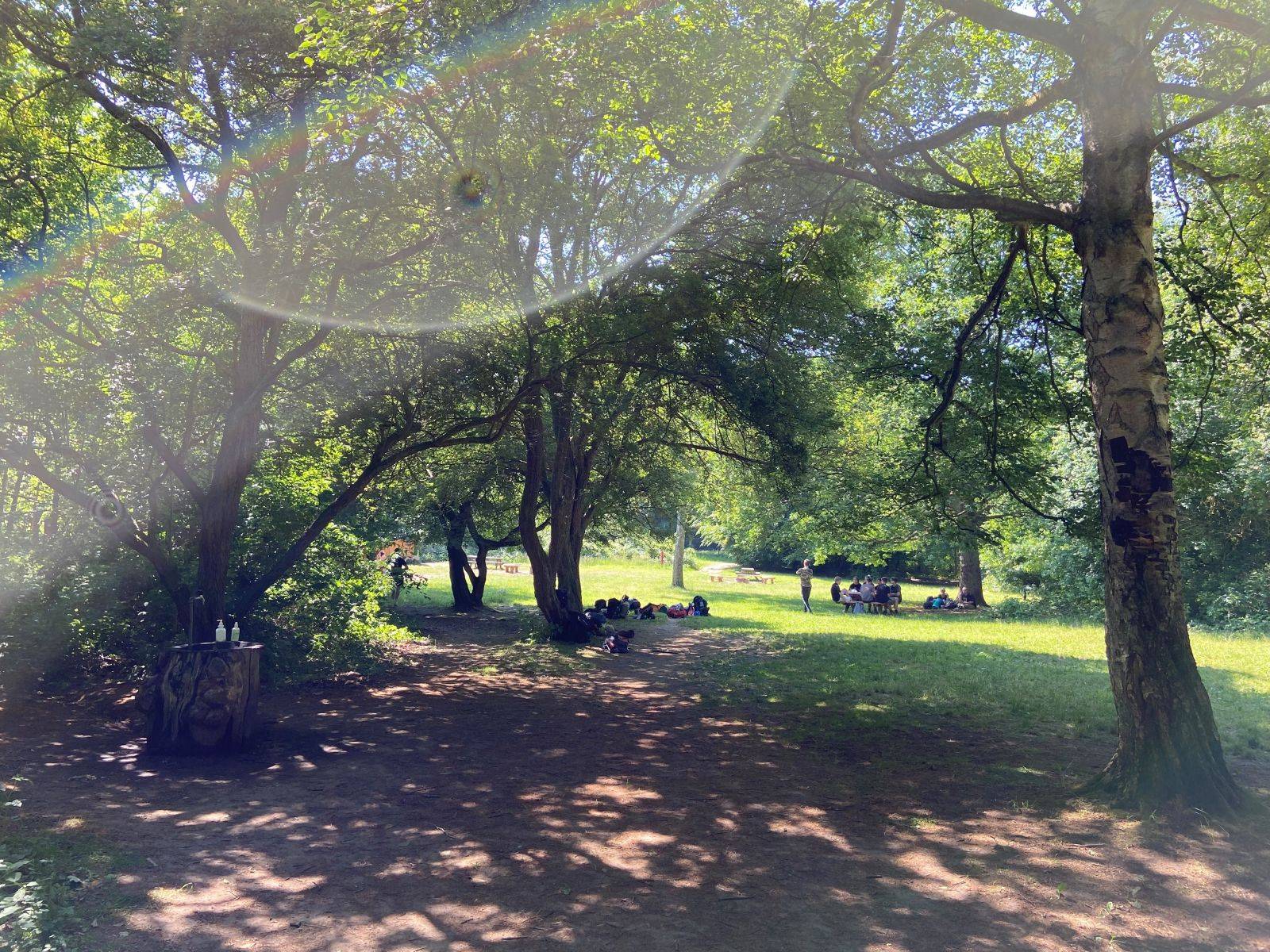 Billede af shelter Strandmøllepladsen, shelter nr. 2 med plads til 5-6 – billede 3