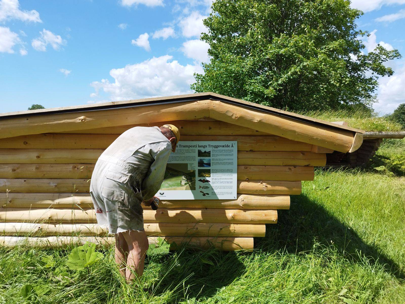 Billede af shelter Brinkholms shelterplads, Store Linde
