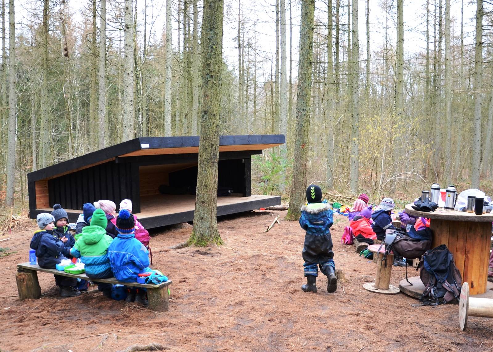 Billede af shelter Lejrplads med shelter - Sollerup Skov