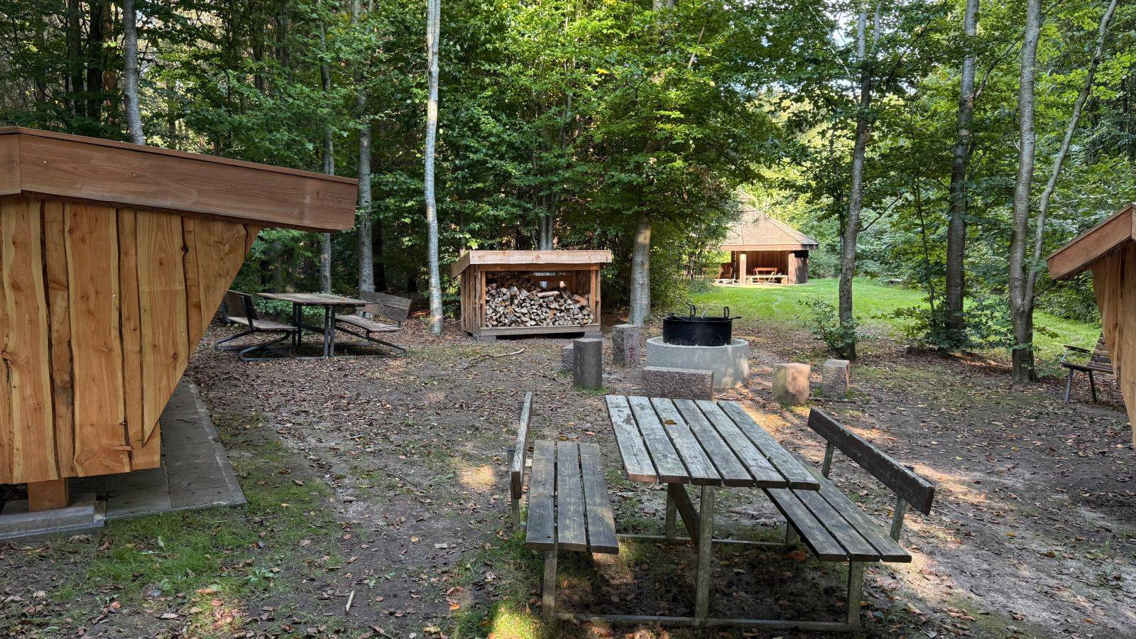 Billede af shelter Shelterplads i Larsens Skov, Årre – billede 2