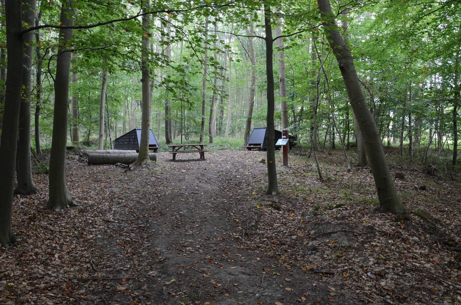 Billede af shelter Lejrplads med shelter 1 - Vestre Stigtehave