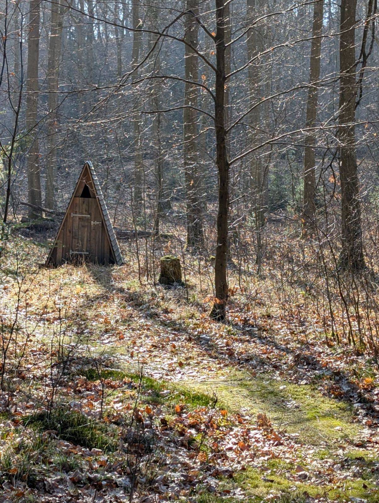 Billede af shelter Østerskov ved Midtvej – billede 5
