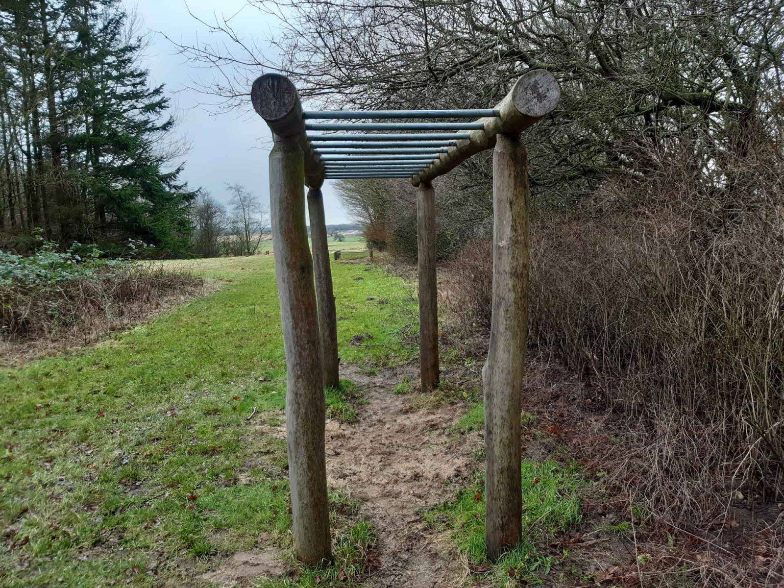 Billede af shelter Havbjerg Skov, shelterplads – billede 3