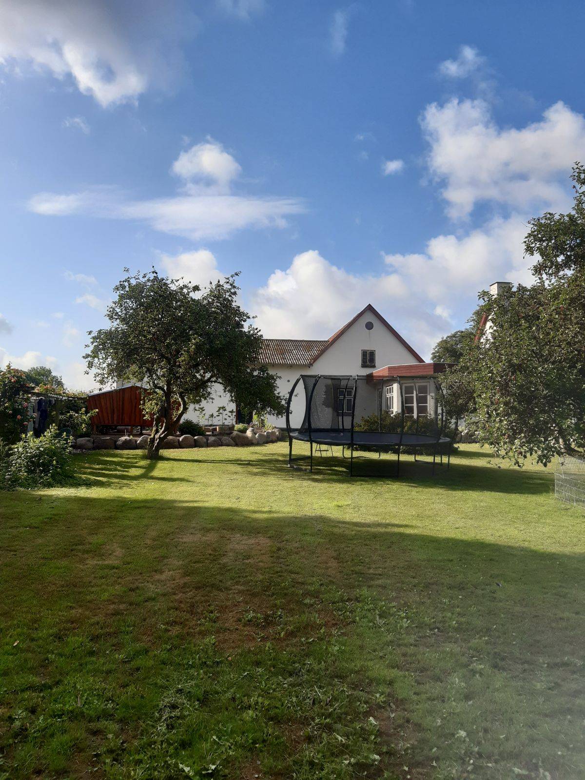 Billede af shelter Højagers shelter – billede 4
