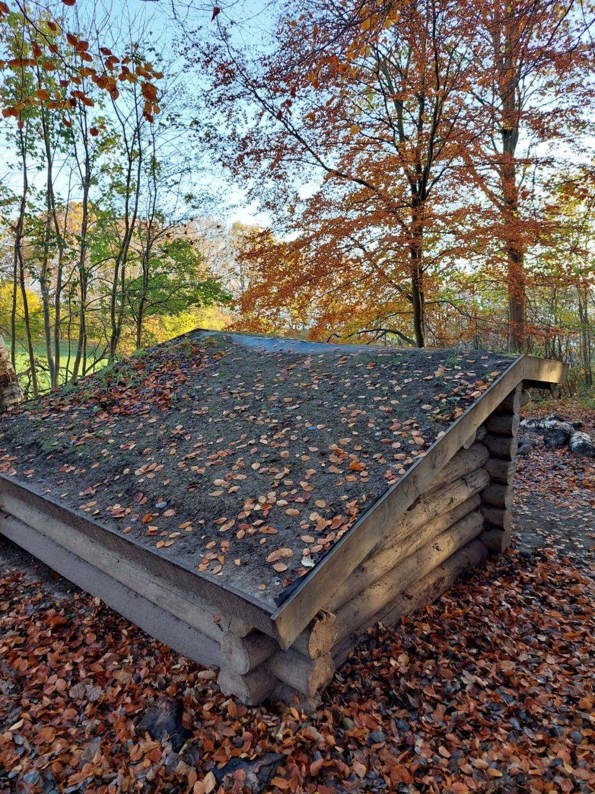 Billede af shelter Shelter i Hørhaven på bakken – billede 3