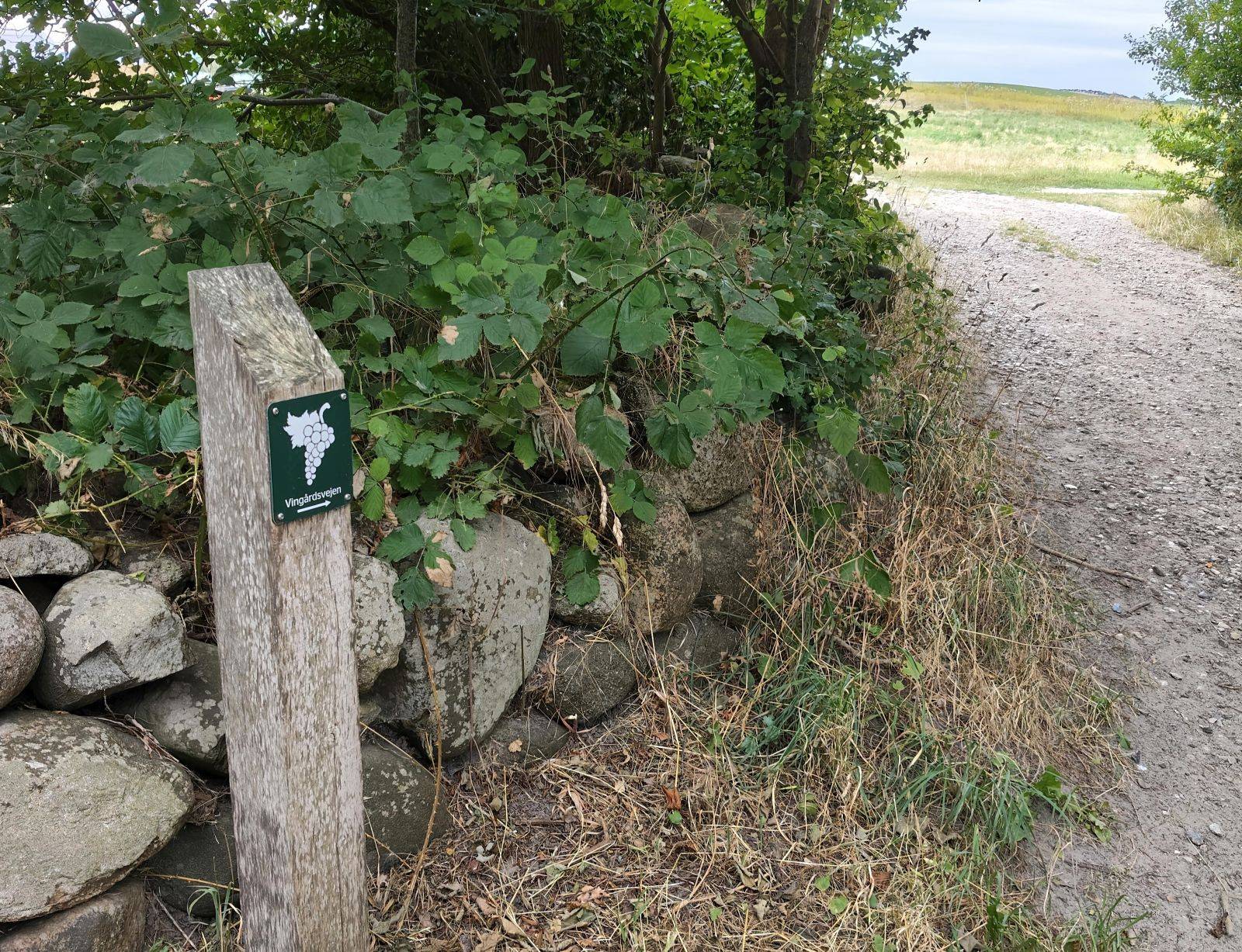 Billede af shelter To 2-mands shelter ved Bjørnø Vingård – billede 5