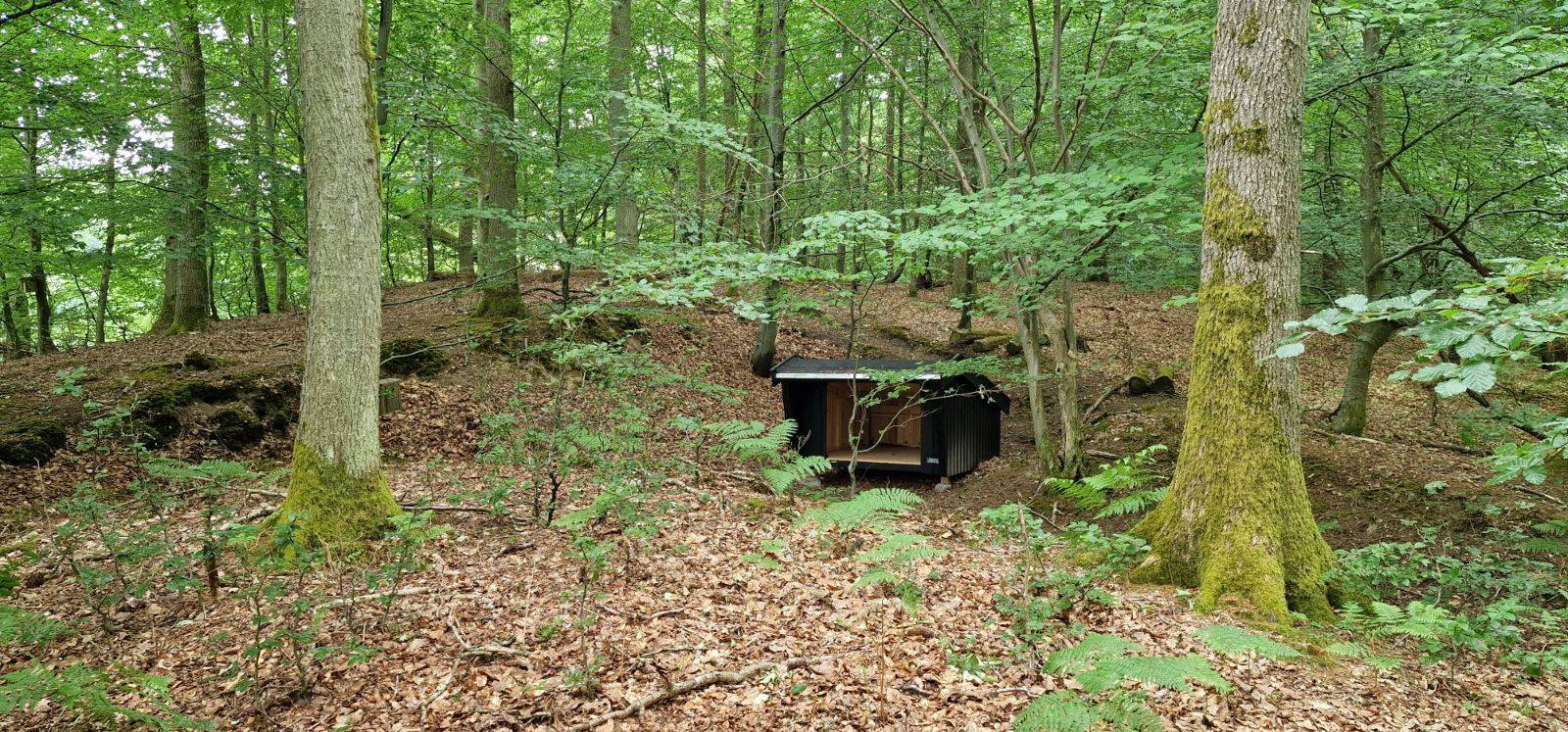 Billede af shelter Vipstjerten shelter – billede 3